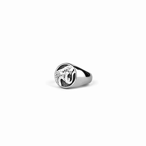 Cupra Ring |  ZORYS.